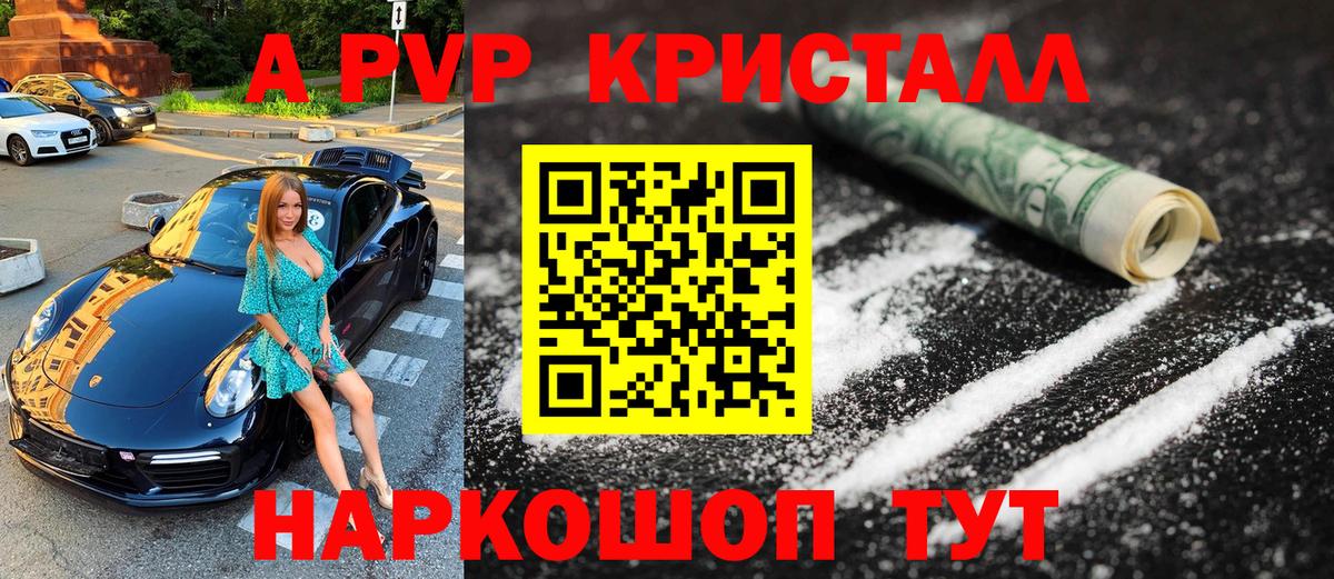 Alfa_PVP крисы CK  Вход с VPN  Альфа ПВП  Курчалой  Alfa_PVP СК КРИС 