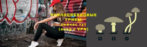 дурь Нефтекумск