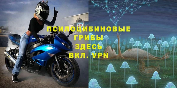 MDMA Новозыбков