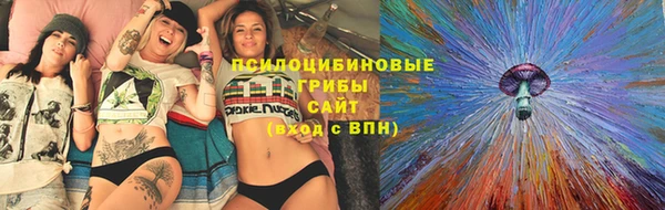 PSILOCYBIN Нефтегорск