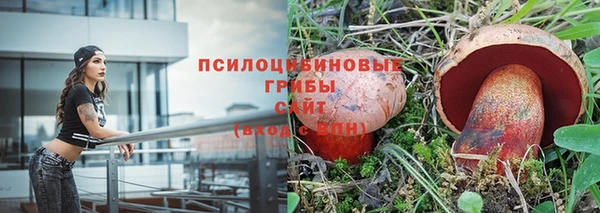 PSILOCYBIN Нефтегорск