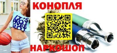 индика Дубна