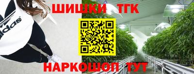 индика Дубна