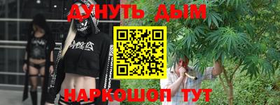 индика Дубна
