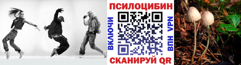Галлюциногенные грибы прущие грибы  Курчалой 