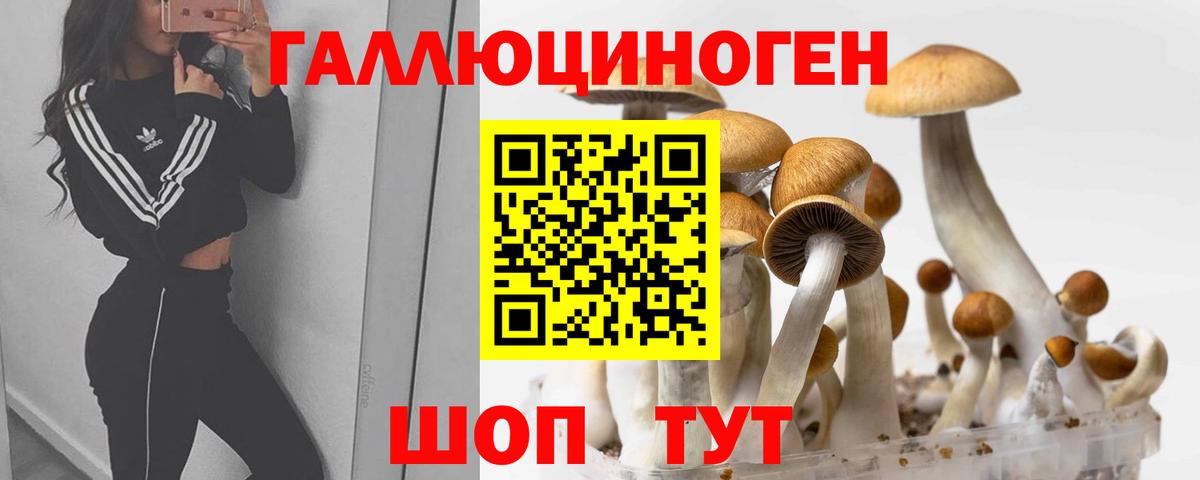 Галлюциногенные грибы мицелий  Псилоцибиновые грибы GOLDEN TEACHER  Курчалой  Вход с VPN 